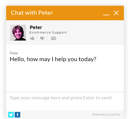Live Chat for Ecommerce Business