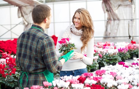 online flower delivery